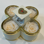 Endless Warm Quartet