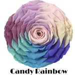 Endless Ace (Special)