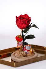 Lunar New Year: Year of the Fire Horse