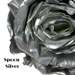 Endless Ace (Special)