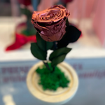 Endless Beauty (Sm.)