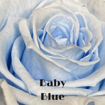 Endless Beauty (Sm.)