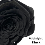 Endless Beauty (Sm.)