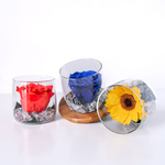 Endless Ace (Special)