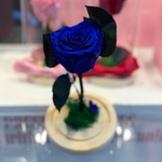 Endless Beauty (Sm.)