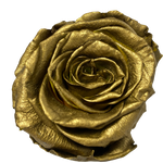 Endless Beauty (Sm.)