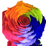 Endless Beauty (Sm.)