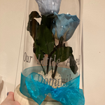 Ace Custom Vinyl Message