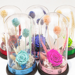 Enchanted Forest (Classic)