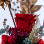 Enchanted Forest (Deluxe)