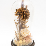 Enchanted Forest (Deluxe)