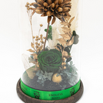 Enchanted Forest (Deluxe)