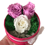 Budding Love Story (Mini)