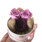 Budding Love Story (Mini)