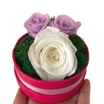 Budding Love Story (Mini)