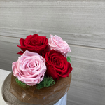 Marvelous Love Story (Deluxe)